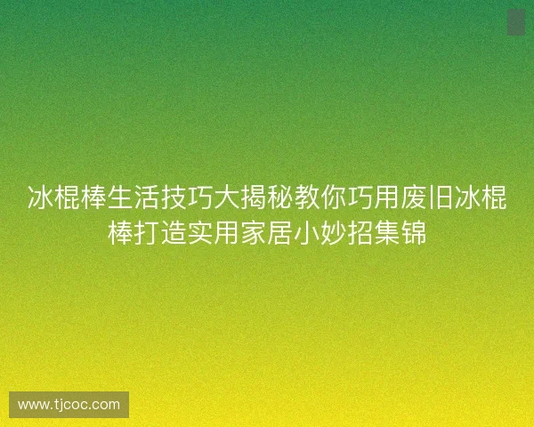 冰棍棒生活技巧大揭秘教你巧用废旧冰棍棒打造实用家居小妙招集锦